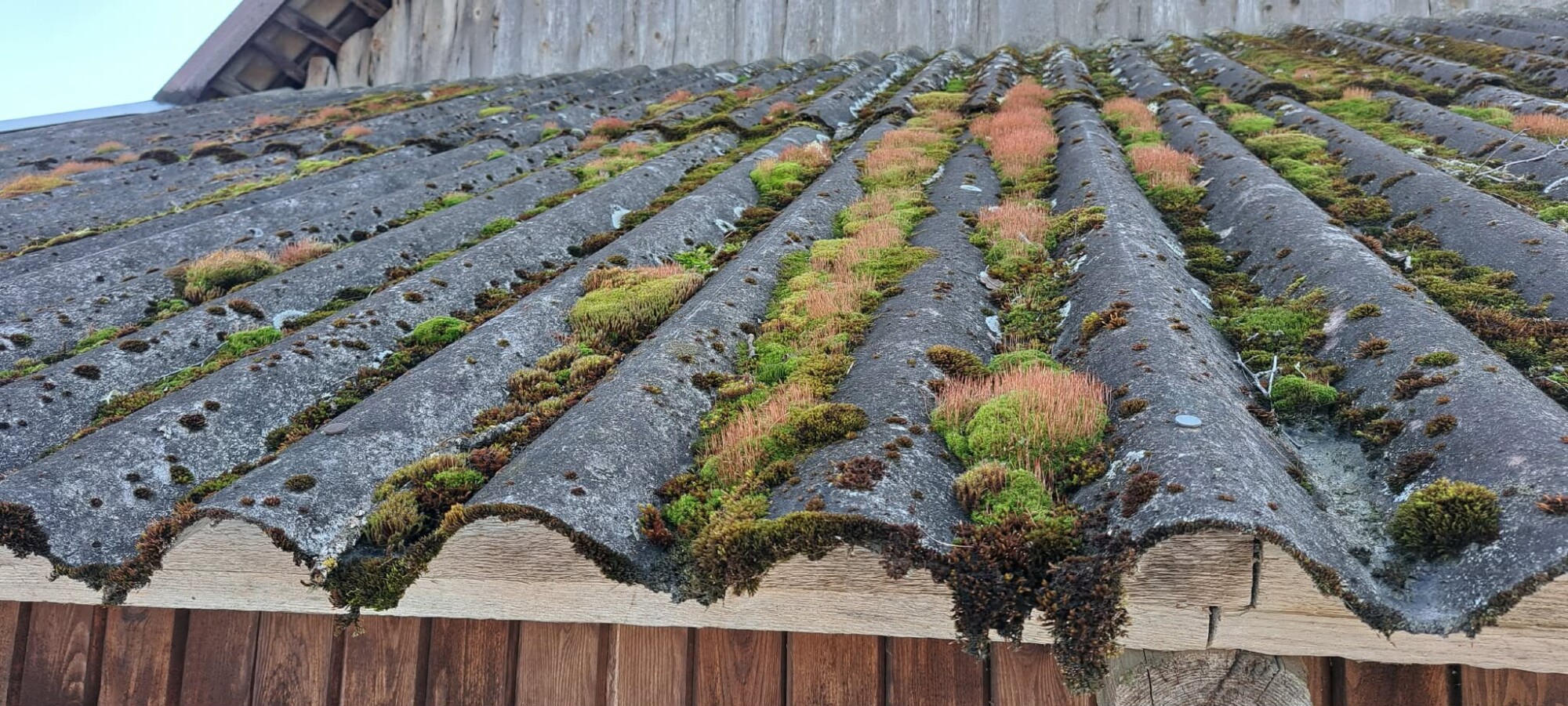 Eterniit on ohtlik jäätmeliik, kuna sisaldab asbesti.